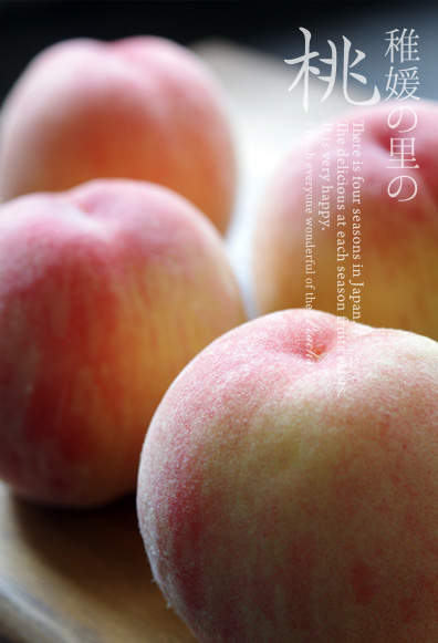 稚媛の里の桃